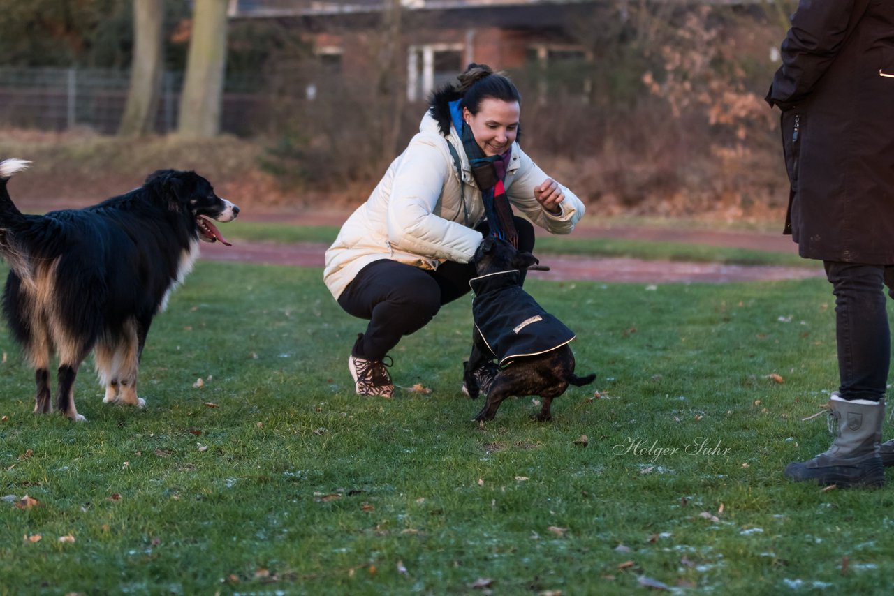 Bild 58 - Hundeshooting